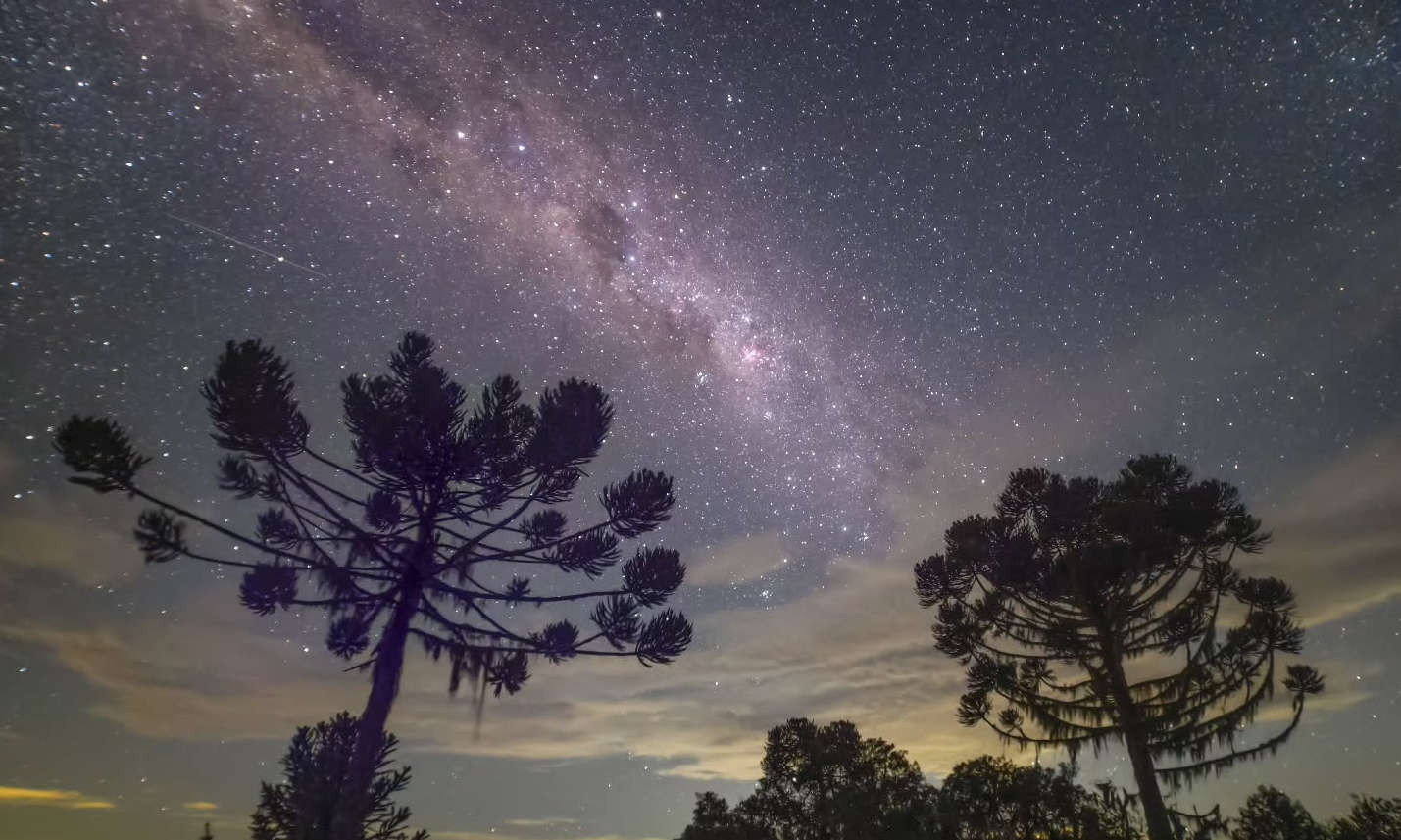 The Milky Way above araucaria trees in the mountains