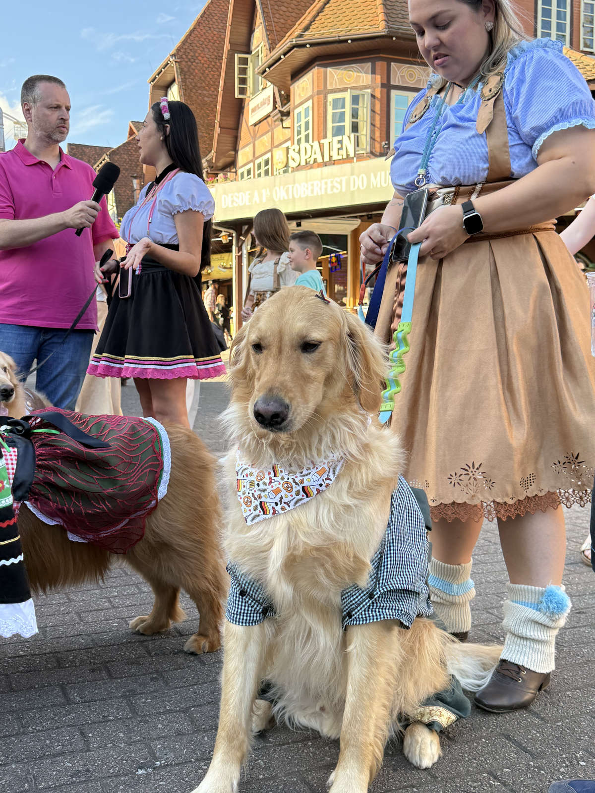 Dogs in festive costumes at Oktoberfest Blumenau